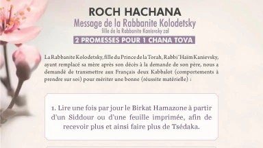 Appel de la Rabbanite Kolodetsky aux Françaises