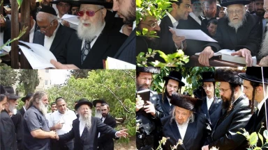 PhoTorah de la semaine : 2 Nissan 5772