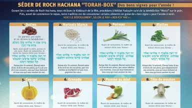 Nouveau : recevez nos Fiches Pratiques par la poste !