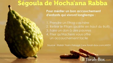 Ségoula pour un bon accouchement : aujourd'hui, Hocha'ana Rabba