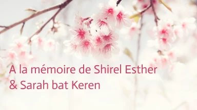 Aujourd’hui déjà 12 mois que nos anges ont quitté ce monde !