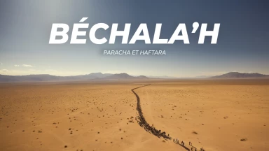 Synthèse de la Paracha et de la Haftara de Béchala’h