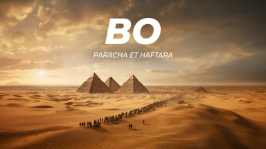 Synthèse de la Paracha et de la Haftara de Bo