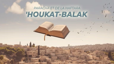 Synthèse de la Paracha et de la Haftara de 'Houkat
