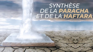 Synthèse de la Paracha et de la Haftara de Nasso