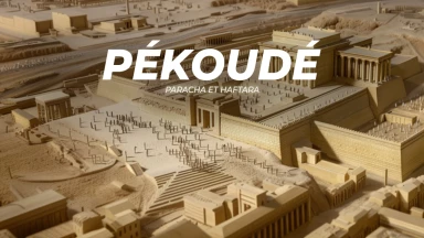 Synthèse de la Paracha et de la Haftara de Pékoudé (Ha'hodech)