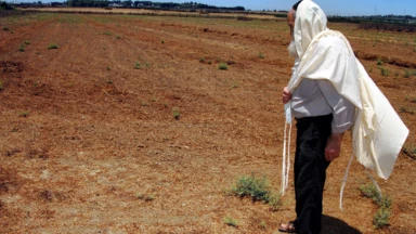 La Mitsva de la Chemita à l’honneur à la Knesset