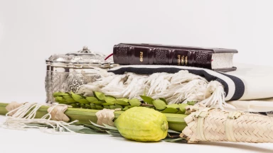 Le lien entre la fête de Souccot et Ya'acov Avinou