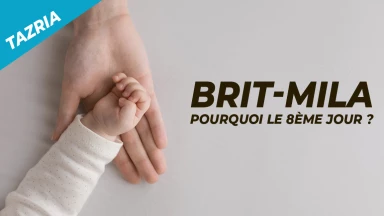 Tazria – La Brit-Mila : pourquoi le huitième jour ?