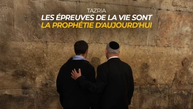 Tazria - Les épreuves de la vie sont la Prophétie d'aujourd'hui