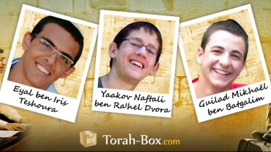 Tehilim pour la libération de nos 3 frères