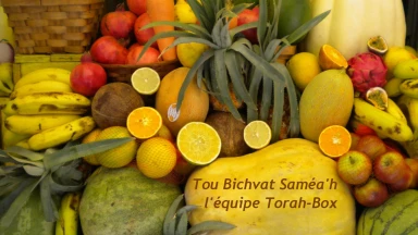 PhoTorah de la semaine : 11 Chevat 5772