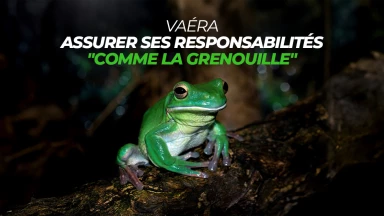Vaéra - Assurer ses responsabilités "comme la grenouille"