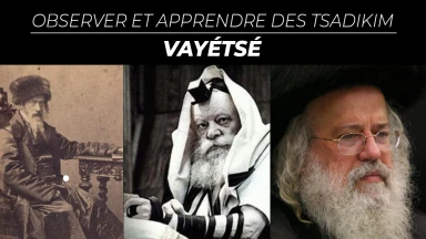 Vayétsé : observer et apprendre des Tsadikim