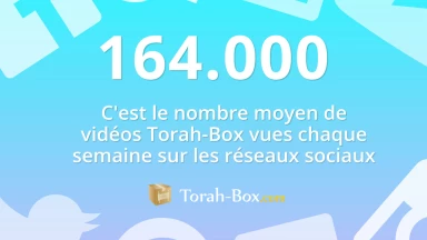 Vidéos TB - 164.000 vues chaque semaine