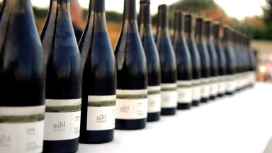 A Pourim, on se parfume au vin... c'est tout ?