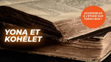Yona et Kohélet : deux nouveaux livres du Tanakh accessibles à l’étude sur Torah-Box !