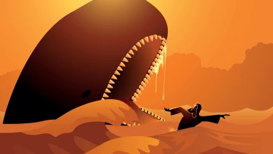 L'édito de la semaine - Un îlot de quiétude sur une baleine ?!