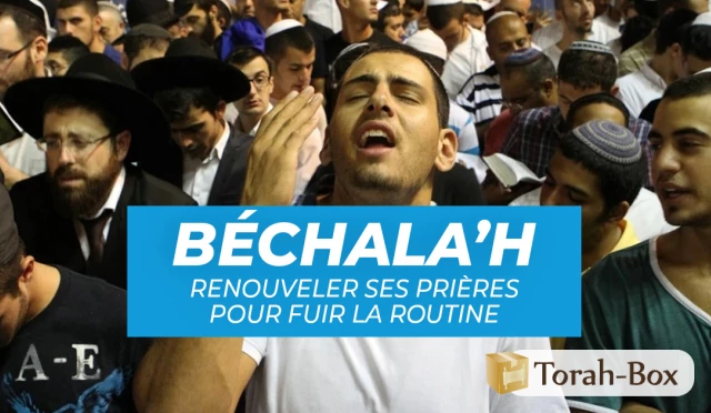 Béchala’h : renouveler ses Prières pour fuir la routine