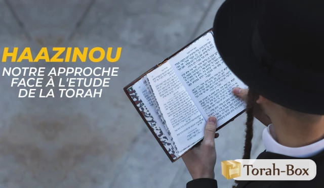 Haazinou - notre approche face à l'Etude de la Torah