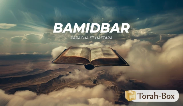 Synthèse de la Paracha et de la Haftara de Bamidbar
