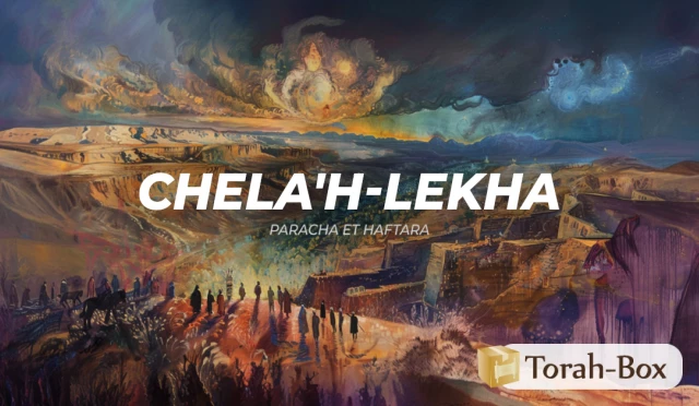 Synthèse de la Paracha et de la Haftara de Chela'h-Lekha
