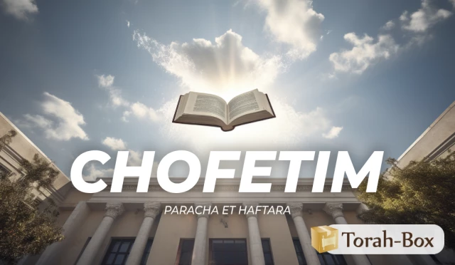 Synthèse de la Paracha et de la Haftara de Chofetim