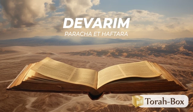 Synthèse de la Paracha et de la Haftara de Devarim (Chabbath 'Hazon)