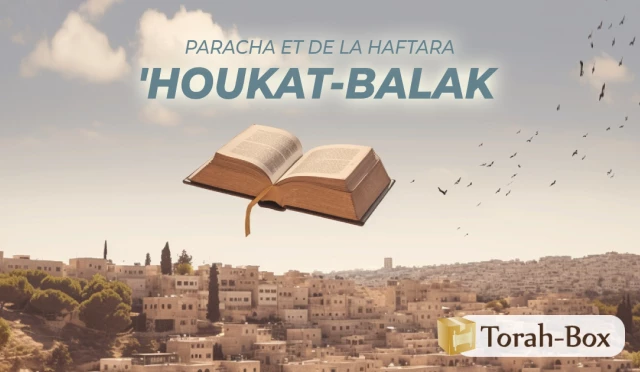 Synthèse de la Paracha et de la Haftara de 'Houkat