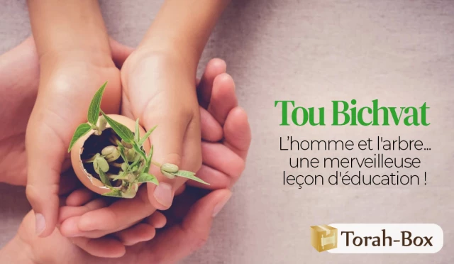 Tou Bichvat : l’homme et l'arbre... une merveilleuse leçon d'éducation !