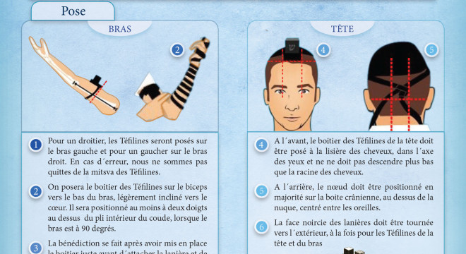 Pose des Téfilines : fiche pratique
