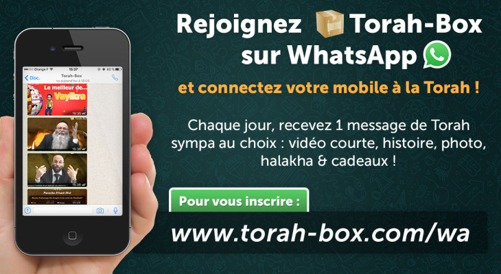 TorahBox évolue sur Whatsapp  (ré)inscrivezvous