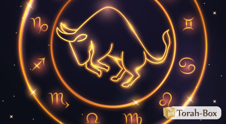 Astrologie Juive Le Signe Taureau