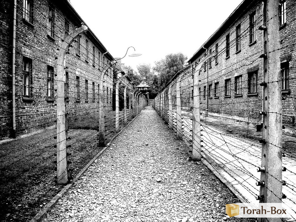 Auschwitz camp pictures concentration Auschwitz camp pictures concentration