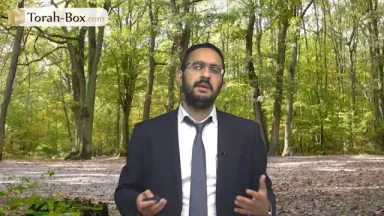 Confiance en D.ieu "certifié Baal Chem Tov" !