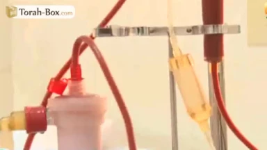 Greffe de rein à New-York