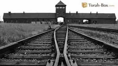 Le bon geste avant de mourir