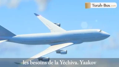 L’inconsolable M. Bloomfield