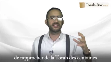 La Green Card à tout prix ?!