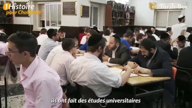 Le Chat qui Aimait la Torah...