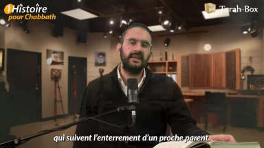 Les champignons d’Inde