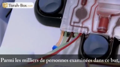 Ménaché Dayan l'assassin ?!