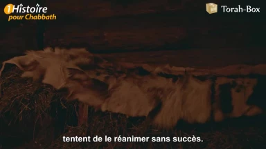 Mordékhaï le relieur de livres