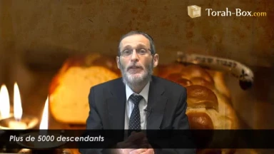 Plus de 5000 descendants