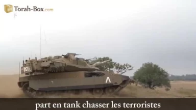 Pour un seul gâteau et un thé chaud... 