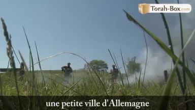 Rivka, couturière sous le régime nazi