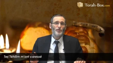 Tes Téhilim m'ont caressé