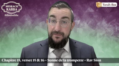 Midrach Rabba - Béhaalotékha (15, 15 & 16) - Sonne de la trompette