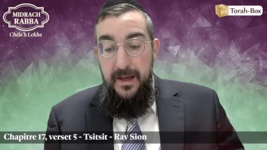Midrach Rabba - Chéla'h Lekha (17, 5) - Tsitsit