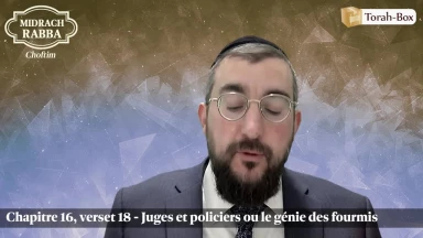 Midrach Rabba - Choftim (16, 18) - Juges et policiers ou le génie des fourmis